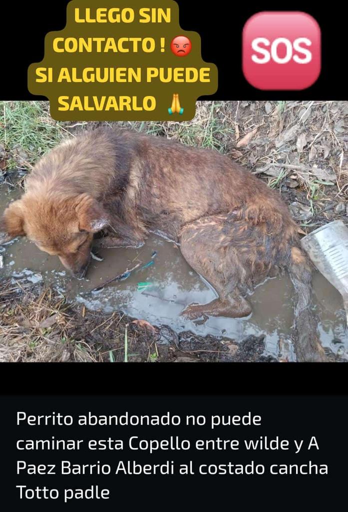 Rt
Quien este cerca por favor!!!