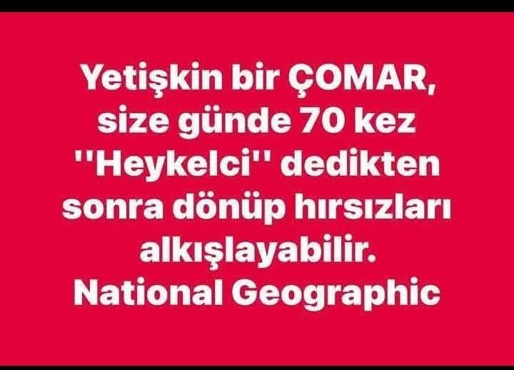 MEHMETGOME2's tweet photo. https://t.co/iwnjSzOlbO
