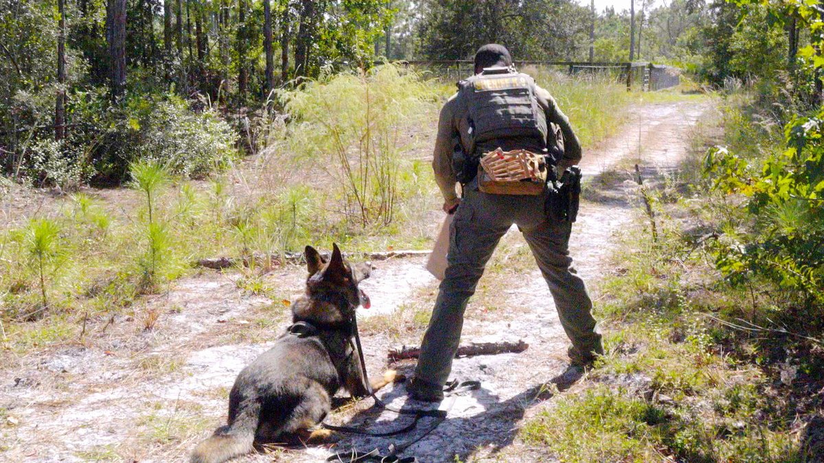 CW17 JAX tweet media