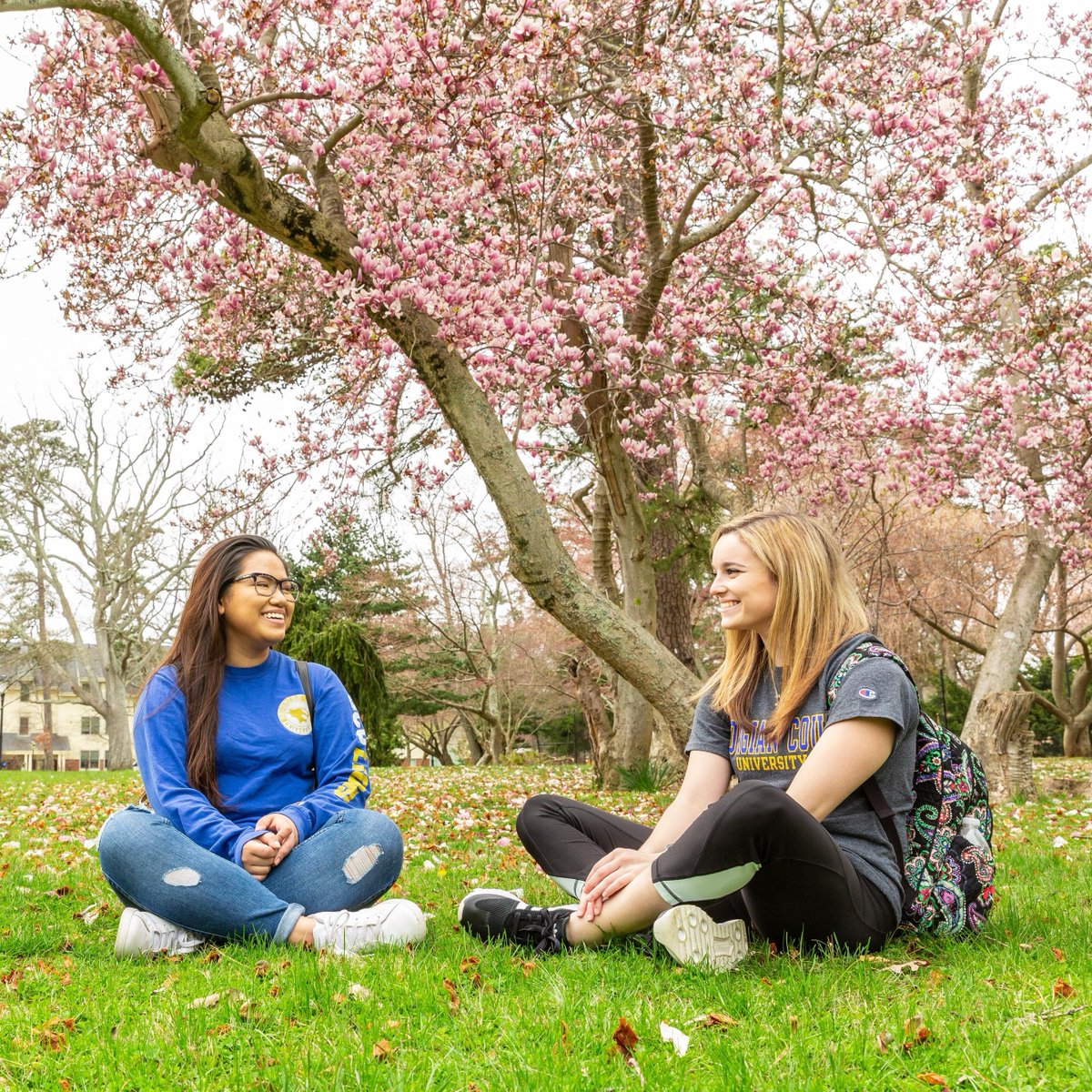 Georgian Court University Admissions tweet media