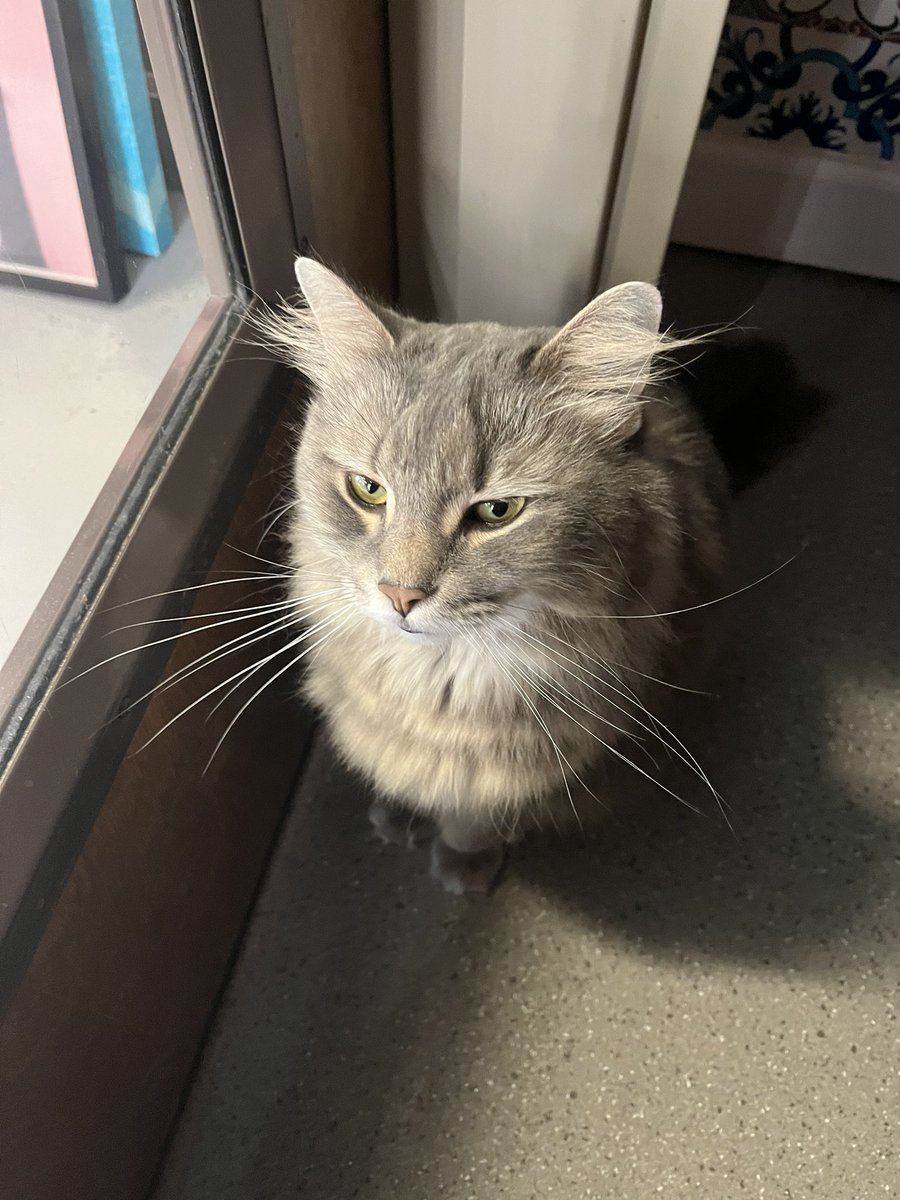 carr0top's tweet image. im back