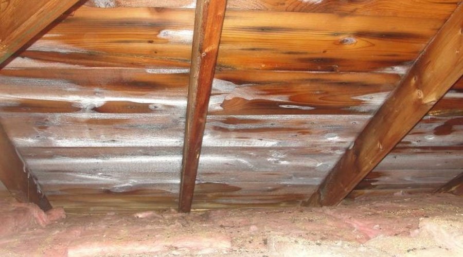 NASSAUROOF's tweet photo. January tip: Check your attic for signs of leaks or frost—it could mean your roof needs attention! ❄️👀

Call Nassau Roofers family owned and operated for 47 years! 516-785-ROOF // 516-785-7663 https://t.co/fFawxErETW
