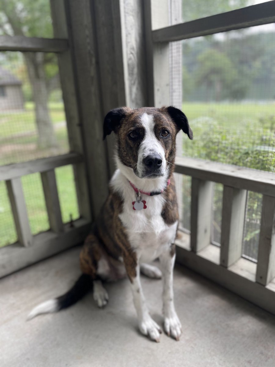 Michael Irwin 🇺🇦 🕊 tweet media