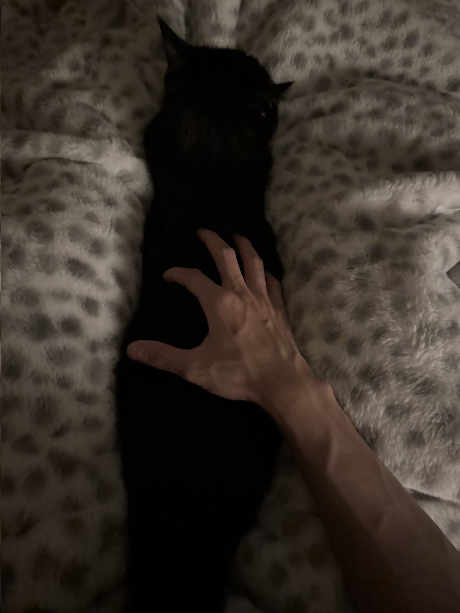 AKOOpls's tweet photo. 🦇 https://t.co/jFByG8yvtI