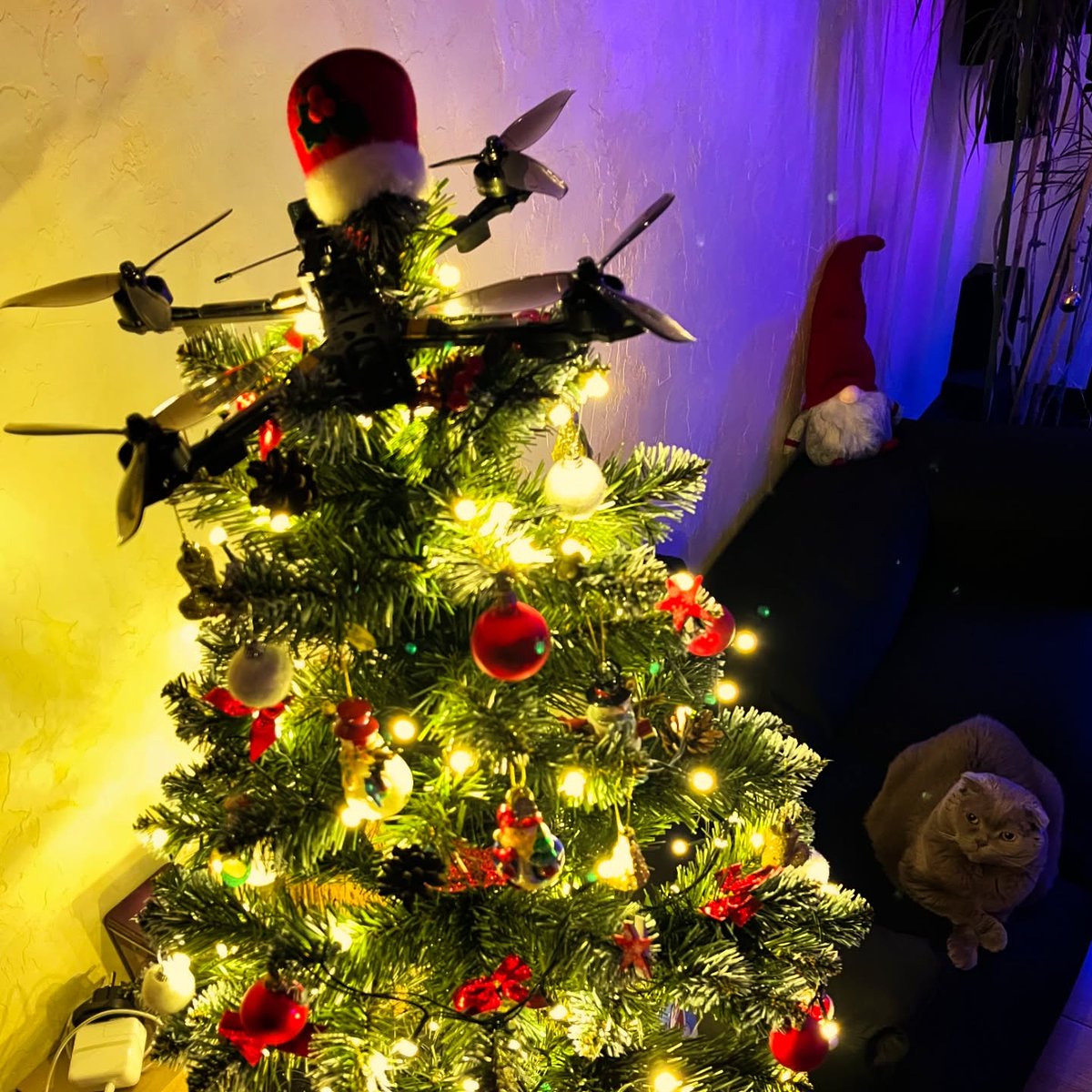 MEHÍLOVE tweet media