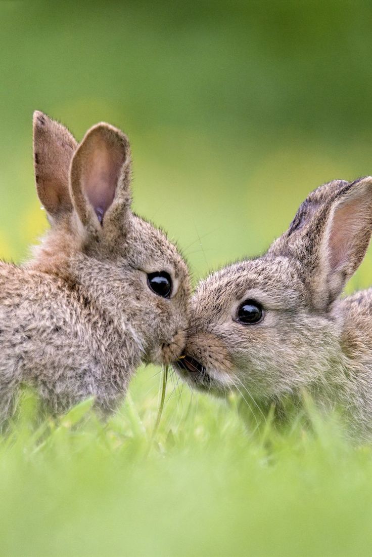 vivaneil (@vivaneil1234) on Twitter photo 