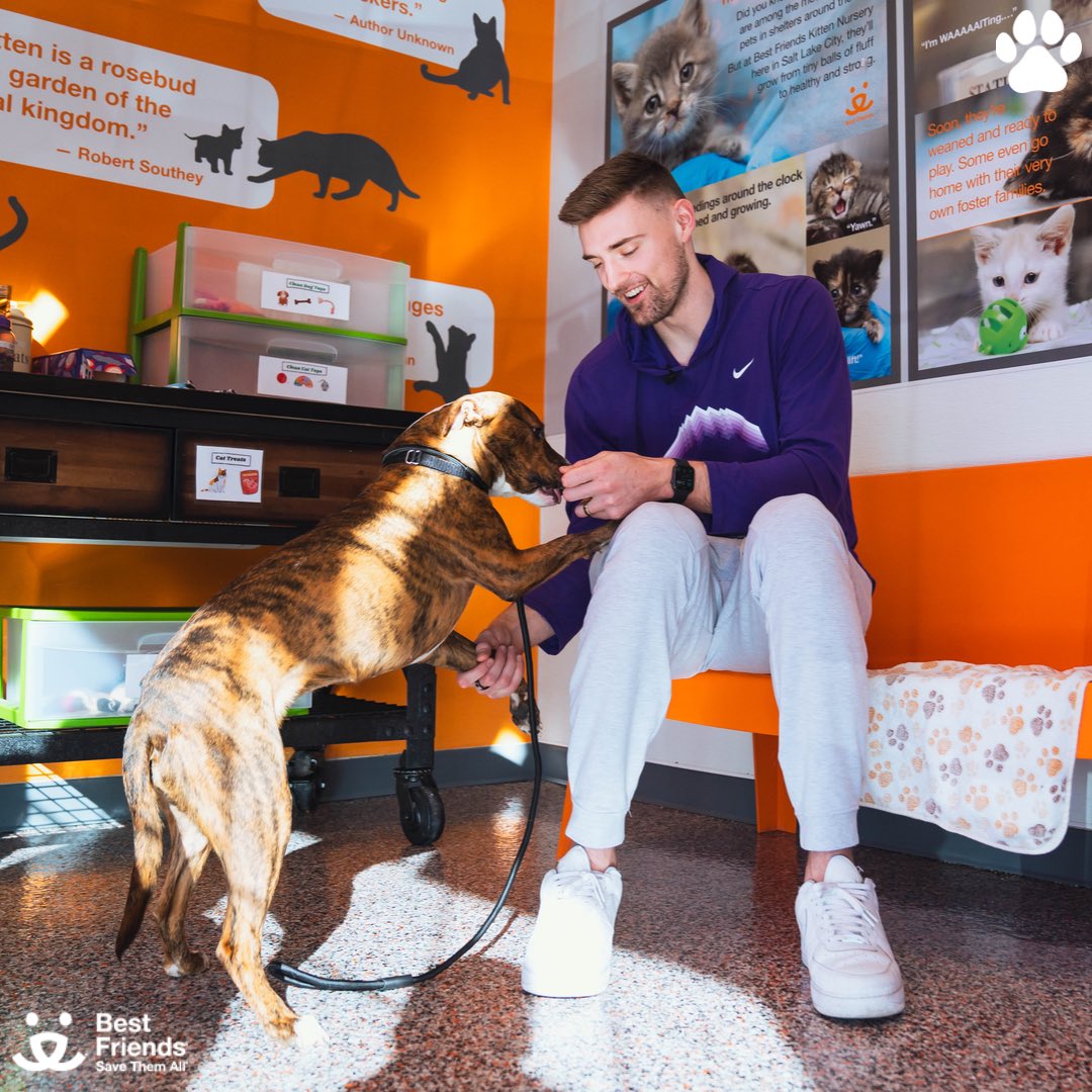 slcstars's tweet photo. The paws are coming out tonight for West Valley Dog Adoption Theme Night ft. @bestfriends 🐾

Come &amp; meet all types of dogs looking for new homes!
📺: ESPN+ , Jazz+ 

Sponsor of the night @UofUHealth 
Dog Adoption Night || #ItStartsHere https://t.co/IabHB03sjH