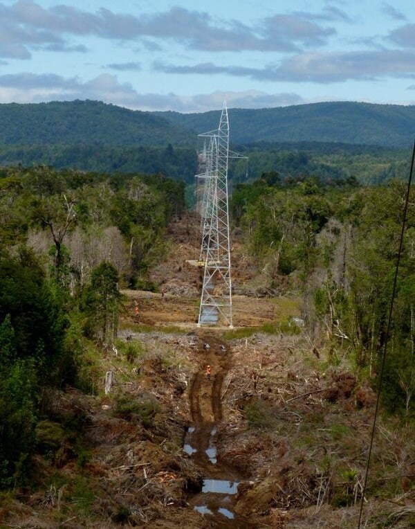 C. Gómez P tweet media