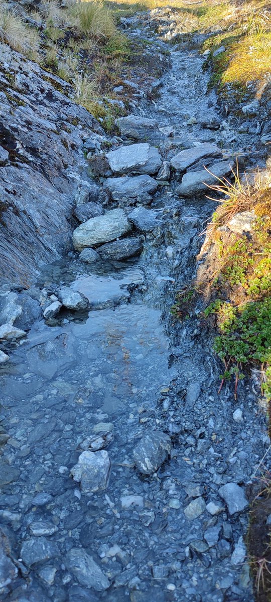 C. Gómez P tweet media