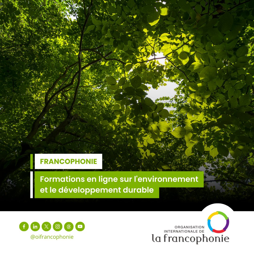 Formez-vous gratuitement sur le #DéveloppementDurable, l’économie et le droit de l’environnement avec l’<a href="/IFDD_OIF/">IFDD</a>. 

📝 Pour en savoir plus et vous inscrire : objectif2030.org/mooc/

#Francophonie