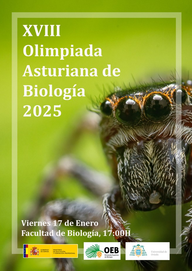 olimpiadabioast's tweet photo. Mañana tendrá lugar la XVIII Olimpiada Asturiana de Biología [17 de enero de 2025, Facultad de Biología - Oviedo, @uniovi_info], fase de selección para la Olimpiada Nacional que tendrá lugar en Canarias del 3 al 6 de abril @olimpiadabioast
 @olimpiadabio
 @Educastur
 @UOdivulga https://t.co/0vNKvA4BWa