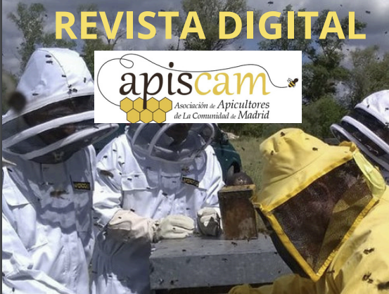 Primer número de la Revista APISCAM ya podéis encontrarla en apiscam.org/primer-numero-…