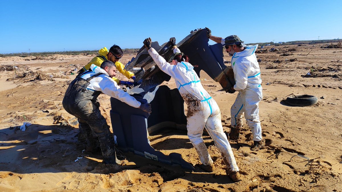 Defensagob's tweet image. Personal del Mando de Artillería de Campaña #MACA @EjercitoTierra realiza trabajos en apoyo de limpieza de cultivos en área de la #Albufera #Valencia para paliar los graves daños provocados por la #DANA.