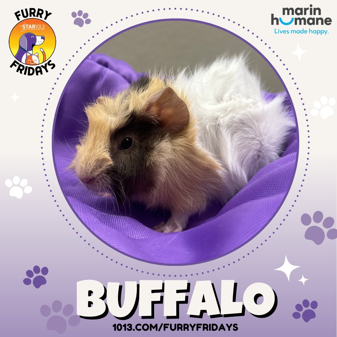 Star 101.3 tweet media