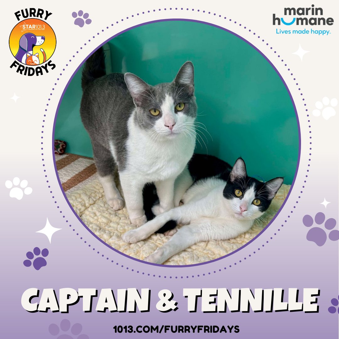 Star 101.3 tweet media