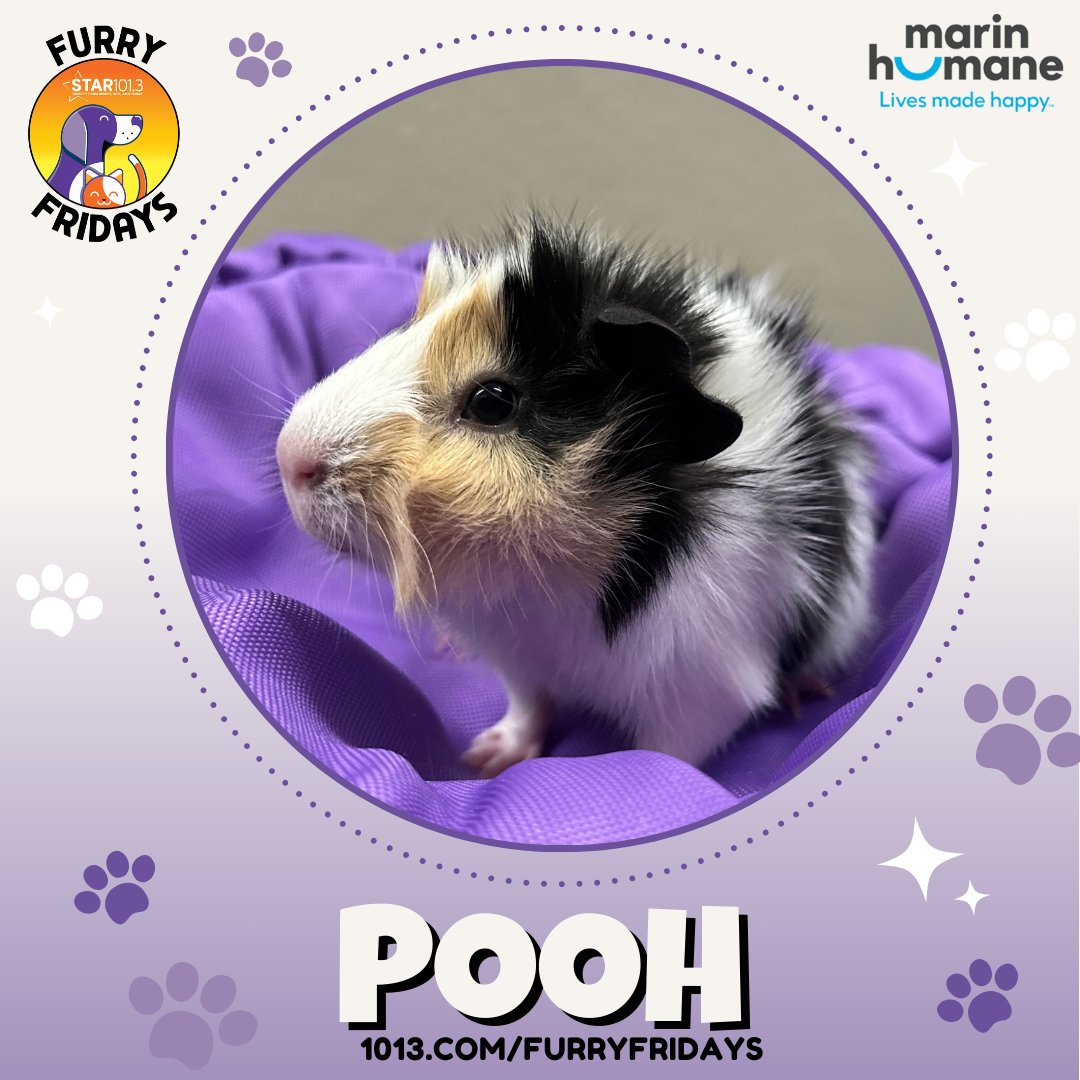 Star 101.3 tweet media