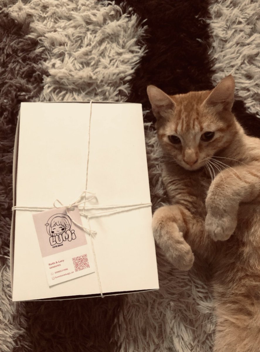 lilibeth_fs's tweet photo. Que lindo Tote Bag  pintando a mano 🧡 aprobado por mi Zeus 🧡✨ 
Inst: @lumitotebags_ec https://t.co/P5I9ZqgfoV