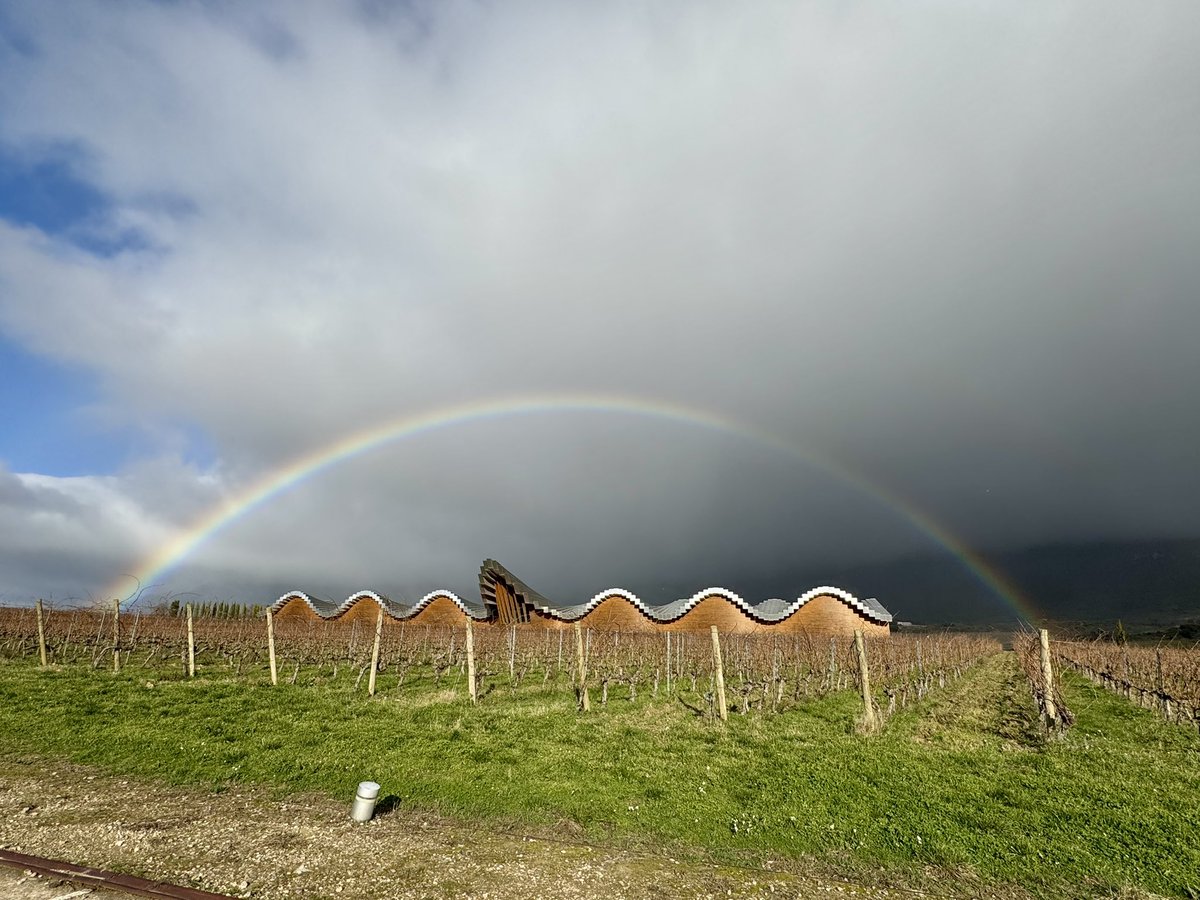 Annie B Spain tweet media