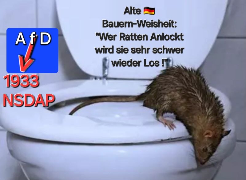 HubertusRogner's tweet image. Ich bin der Meinung,  daß #Demokraten die #Pflicht haben,  #rechtsradikalenDemokratiefeinden
Entgegenzusetzen! DESHALB !
#AliceFürDumme #AfDVerbotSofort
Damit meine ich #SofortAfDjetztVerbieten 
#AfDVerbotSofort