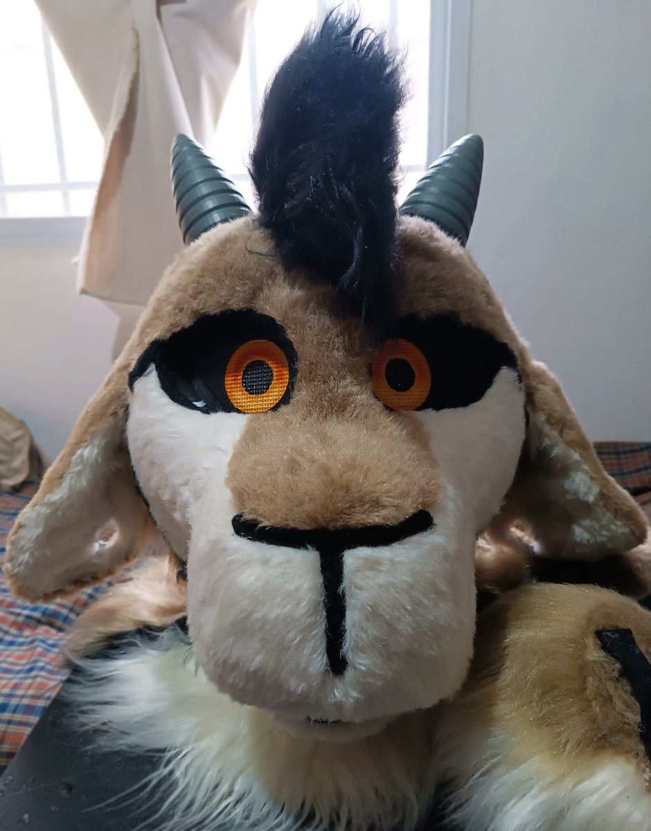 theruskyfactory's tweet photo. Sorin la cabra! 🐐

#Fursuit Parcial con extras!
- Head
- Paws (5 dedos)
- Mangas
- Cuernos 3D removibles con imán!
- Cola
- Ojos 3D con imán
- Cejas y 3 pares de Párpados
- 2 Lenguas removibles
- Ventilador añadido

~ Hecho en Julio 2024 🪡🧵 https://t.co/5fNpnZ12GI