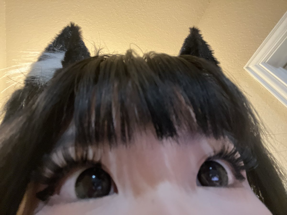 annie tweet media