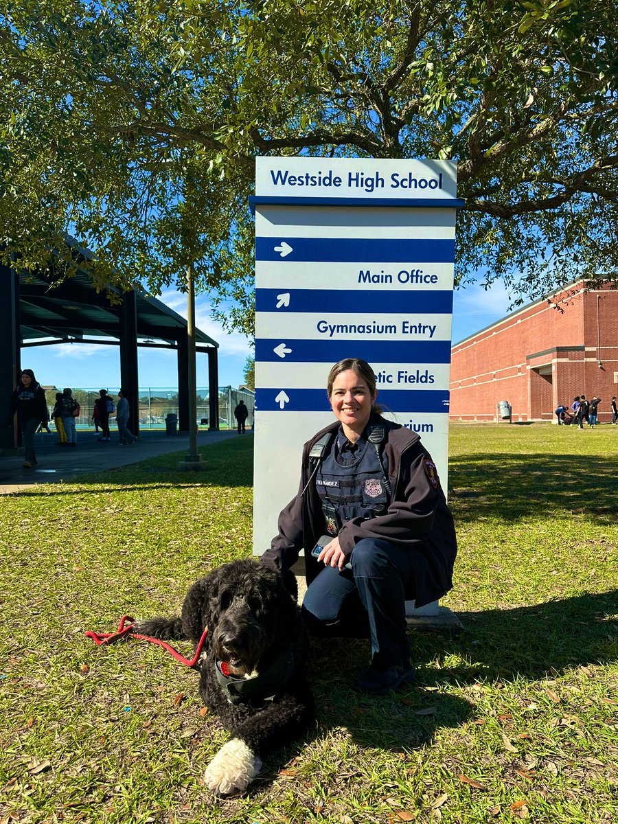 HISD PAWS (@hisdpaws) on Twitter photo Today was a beautiful day today โ๏ธ! Justice was able to bask in the sun while chillin with the students <a href="/WestsideHigh/">Westside High School</a> during their lunch break! Shout-out to Officer Fernandez and Officer Boxie for keeping the students safe! Today was a beautiful day today โ๏ธ! Justice was able to bask in the sun while chillin with the students <a href="/WestsideHigh/">Westside High School</a> during their lunch break! Shout-out to Officer Fernandez and Officer Boxie for keeping the students safe!
