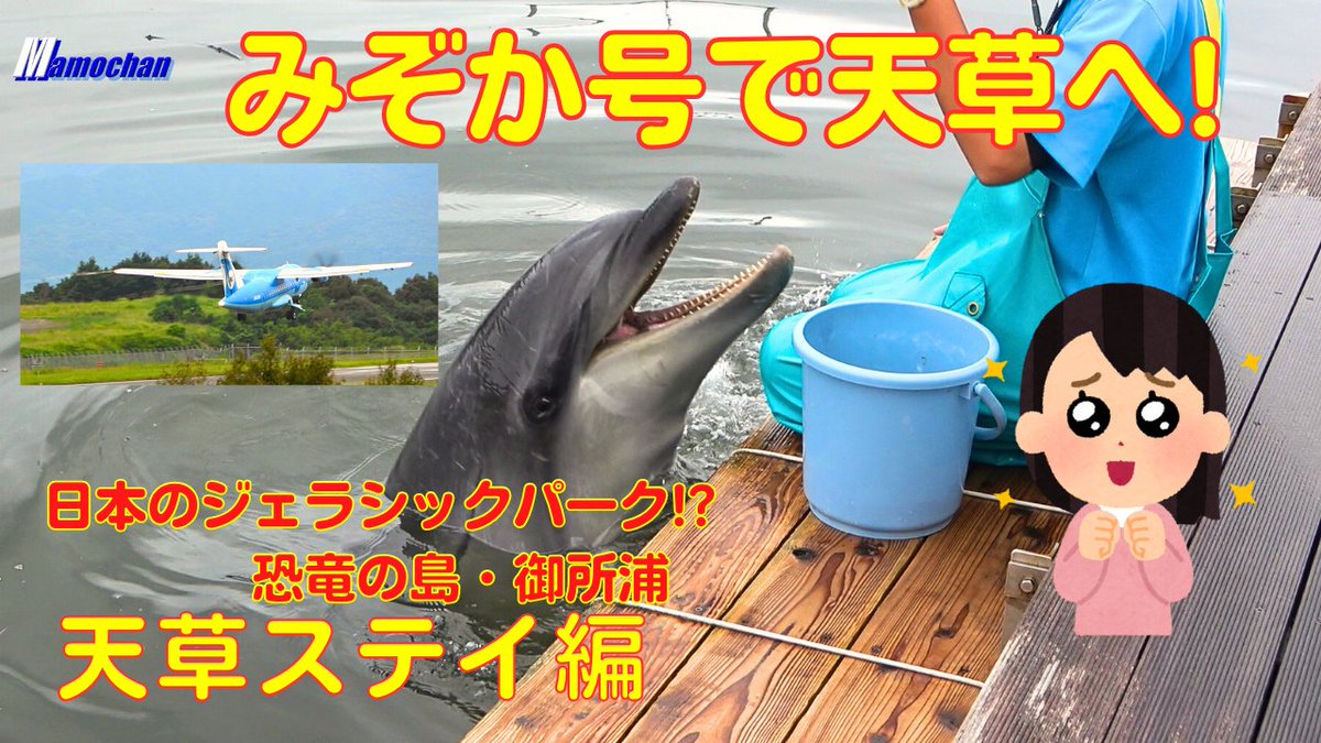 Mamocha09778420's tweet photo. 天草ツアー第2弾動画を公開します⭐
今回は主役がしっかり登場しますよ😉
本日、1/17(金) 17:00 公開予定
https://t.co/WJJuP8D6hY
@YouTube
#天草空港
#みぞか号
#天草エアライン
#まもチャン
#AXJ
#RJDA
#飛行機
#空飛ぶイルカ
#イルカ
#恐竜
#飛行機動画
#飛行機の離着陸 https://t.co/bJ0k6fbqli
