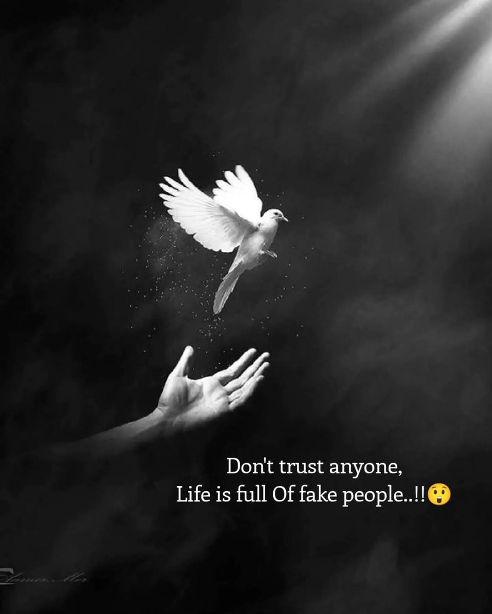 Mind_Essentials's tweet photo. https://t.co/ugh7WUBjdr