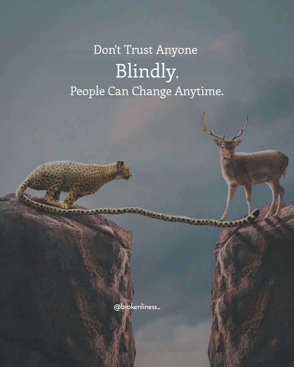 Mind_Essentials's tweet photo. https://t.co/CZ2Vktyi0M
