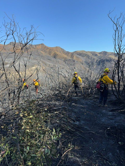 GregAbbott_TX's tweet photo. Texas deployed firefighters including the Frisco Fire Dept to California last week to help battle their wildfires.

These heroes continue working hard to fight these fires and help protect their fellow Americans. https://t.co/hUu2YaZ7HF