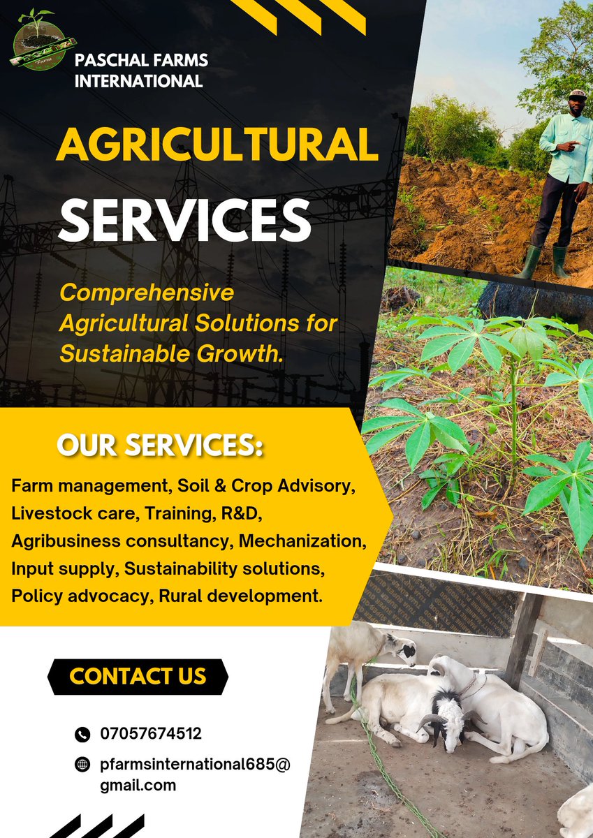 Nna_Paschal's tweet photo. ๐๐ CONTACT US NOW.
#EnsuringFoodSecurity
#YourFavouriteFarmer 24/7 ๐ https://t.co/sQpu6vKIdm