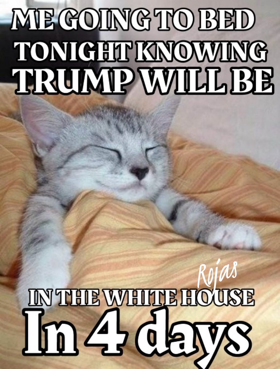 mcucolo57's tweet photo. Good night everyone. 😻 https://t.co/PYRnQMp5kQ