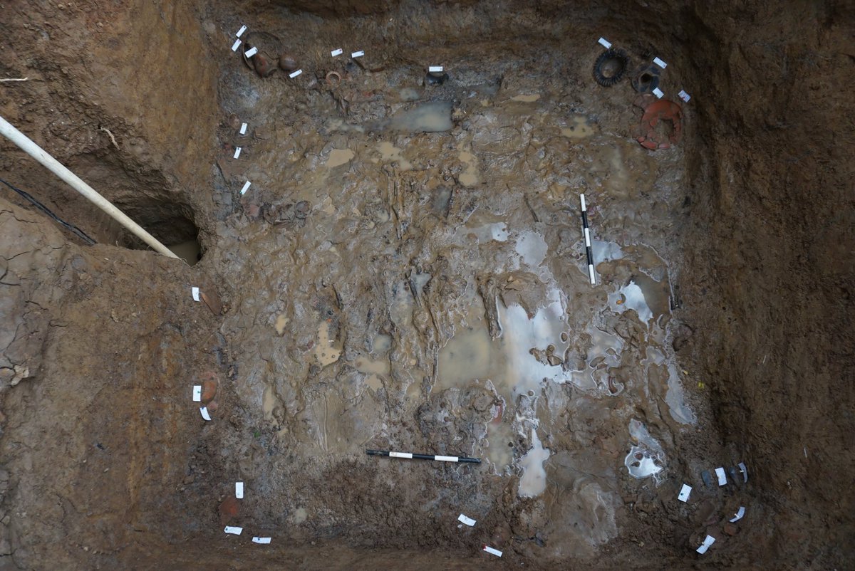 FUNDACANO's tweet photo. Estamos listos para empezar la excavación de la inhumación de tumba T9. 

#MiCultura #senacyt #CiudaddelSaber 

We are ready to start the excavation of the burial site of tomb T9. https://t.co/VHOwFqbjl3