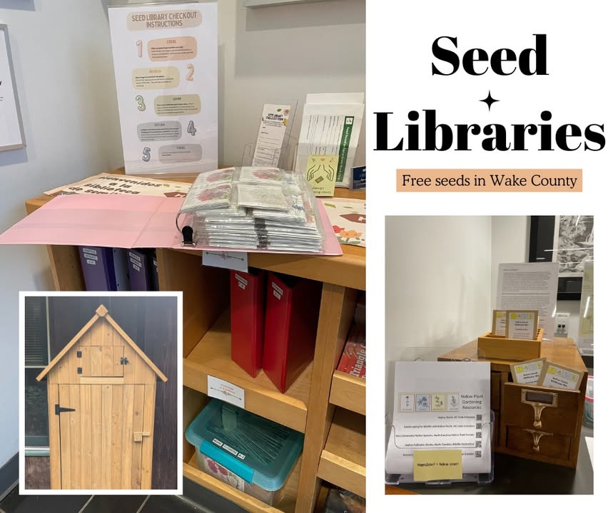 WakeGovParks's tweet photo. Seed libraries allow people to "check out" seeds for free, including native wildflowers, at @WakeGov's Green Road Community Library and #Crowder County Park. Join in #BlueJayPoint's Seeds and Swap program on February 22! Register: https://t.co/93HdOCXC7Z https://t.co/EFpQvc6znB