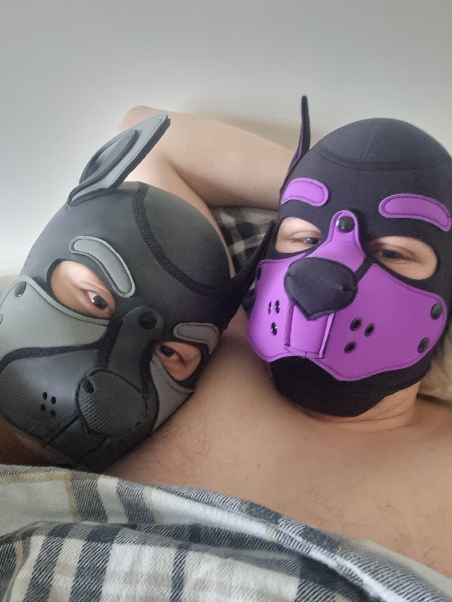 HerbieAD's tweet photo. Loved having this absolute cutie over, I have to train him up in order to take the bone. But we are getting there :3 https://t.co/PbT7wmicuf