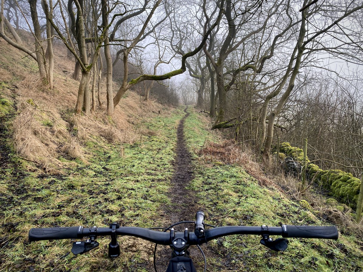 Stephen Morrison tweet media