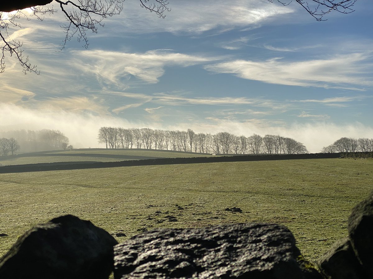 Stephen Morrison tweet media