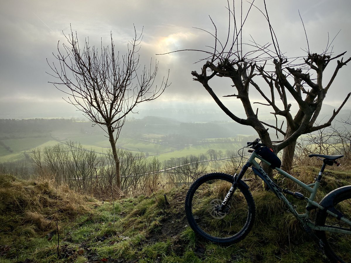 Stephen Morrison tweet media