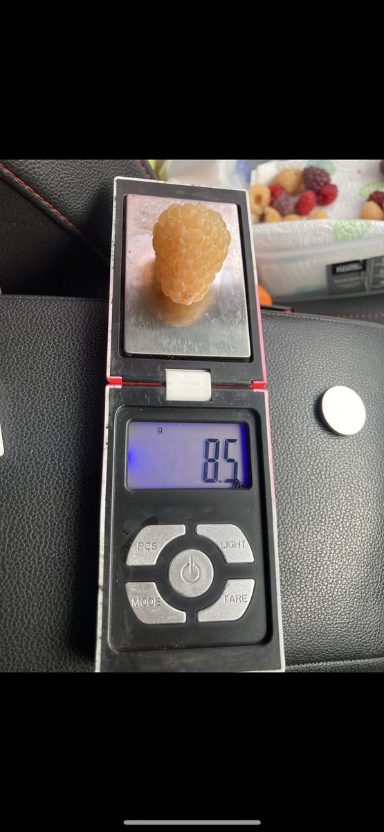 stewart waine tweet media