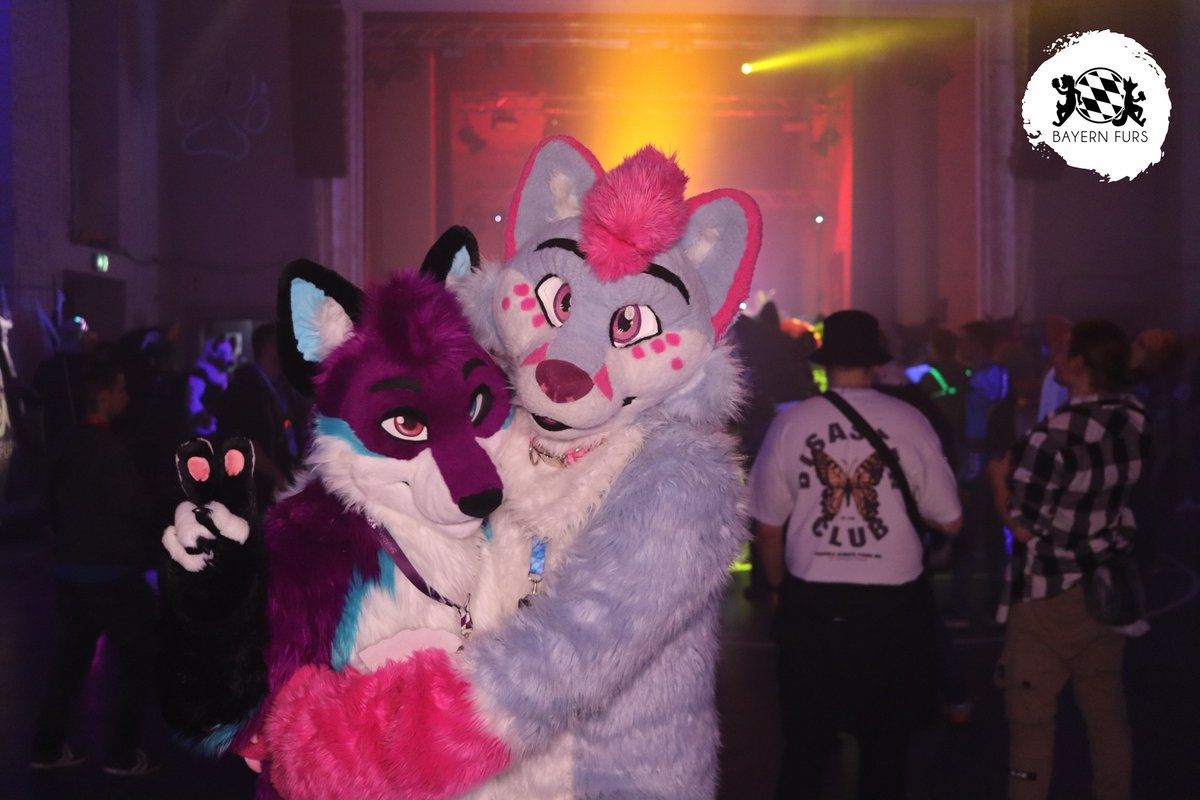 BayernFurs's tweet photo. Es lassen sich @astertz_ und @FuzzyNoki nicht nehmen, beim ganzen Feiern einfach mal Zeit für ein Foto zu finden.

#BFD15 #FursuitFriday

🐺 @astertz_ 
🦊 @FuzzyNoki 
📸 Fotobox

Ihr wollt uns unterstützen? Super!
Dann hier entlang, unter
https://t.co/ARcYxO1WLh https://t.co/Bd1iAenF0I