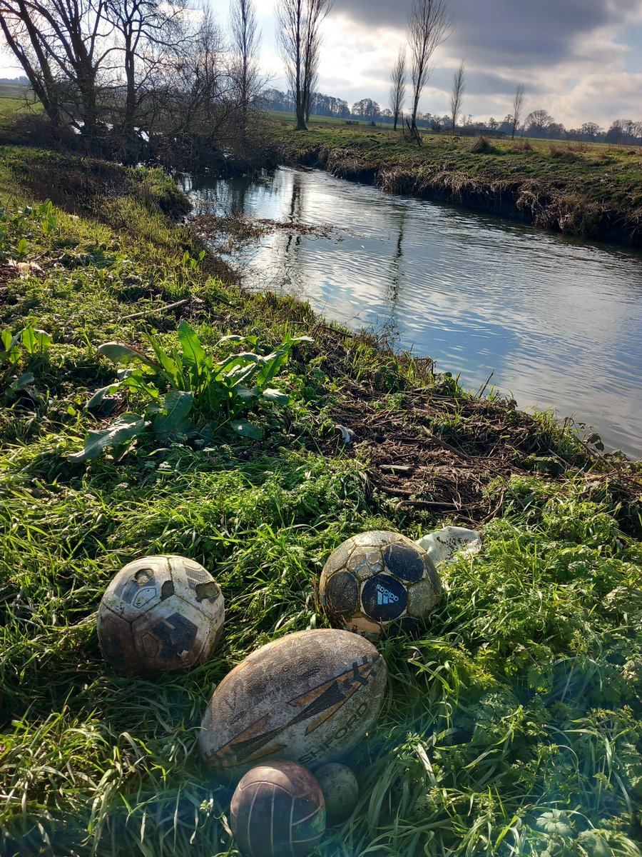 These are not not magical mushrooms growing by the river but balls that have ended up on the riverbank. Dispose of balls appropriately!