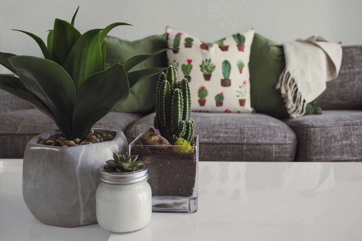 nest_restsupply's tweet photo. Living Room Furniture That Speaks Comfort! 🛋️🎨
Make your living room a gathering spot with versatile furniture. Think modular sofas, nested tables, and storage-friendly pieces. 🌟
Browse our collection at https://t.co/ap66a1OwzQ.
#FunctionalFurnishings #HomeVibes https://t.co/xhFc0QanRT