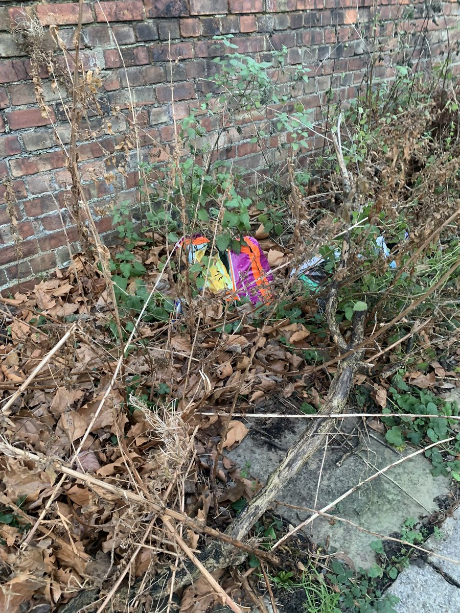 antosancis's tweet photo. @liamzud @hackneygreens @hackneycouncil 
I have reported on @fixmystreet about a large amount of litter that has not been cleaned for months, on N16 Victorian Grove between Beatty Road and Victorian Road. It has been marked as ‘fixed’ by the council which is totally untrue. https://t.co/6bJz76zAZ4