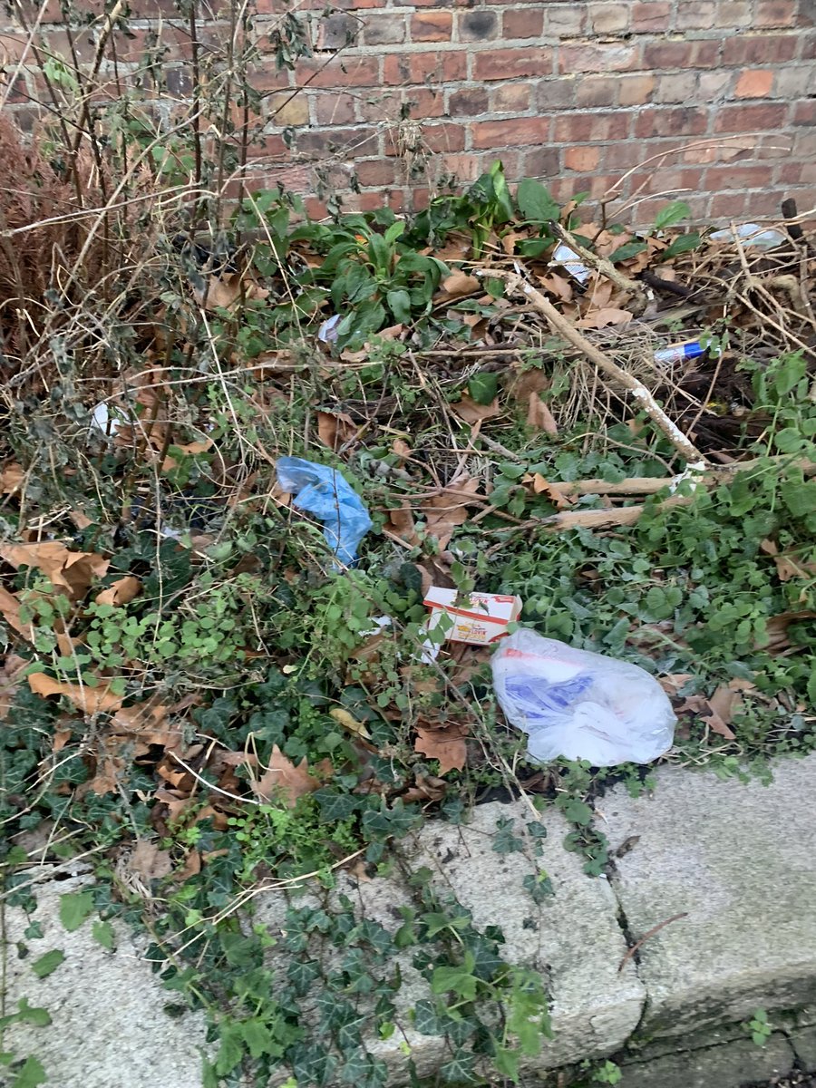 antosancis's tweet photo. @liamzud @hackneygreens @hackneycouncil 
I have reported on @fixmystreet about a large amount of litter that has not been cleaned for months, on N16 Victorian Grove between Beatty Road and Victorian Road. It has been marked as ‘fixed’ by the council which is totally untrue. https://t.co/6bJz76zAZ4