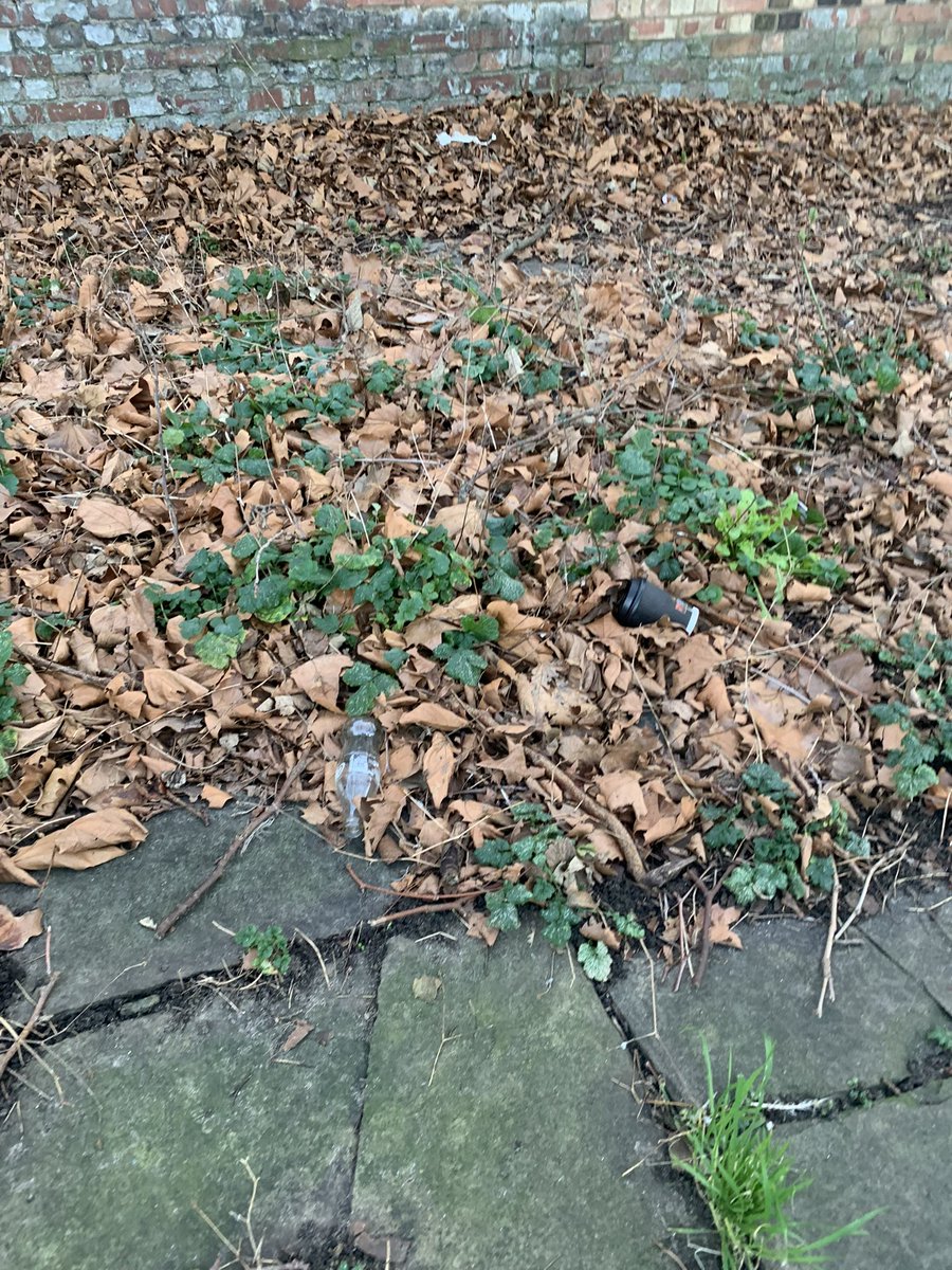 antosancis's tweet photo. @liamzud @hackneygreens @hackneycouncil 
I have reported on @fixmystreet about a large amount of litter that has not been cleaned for months, on N16 Victorian Grove between Beatty Road and Victorian Road. It has been marked as ‘fixed’ by the council which is totally untrue. https://t.co/6bJz76zAZ4