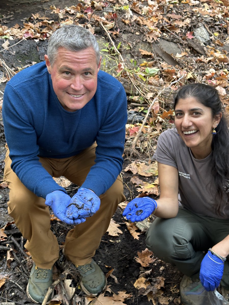 NYCParks's tweet photo. Don’t miss #ExtraordinaryWorld with @wildcorwin
this Saturday Jan 18th on CBS WKND & @paramountplus to learn more about northern dusky salamanders! These tiny critters are important signs of a healthy ecosystem and show how we're keeping NYC green! 💚 https://t.co/xkJfSUn2O9