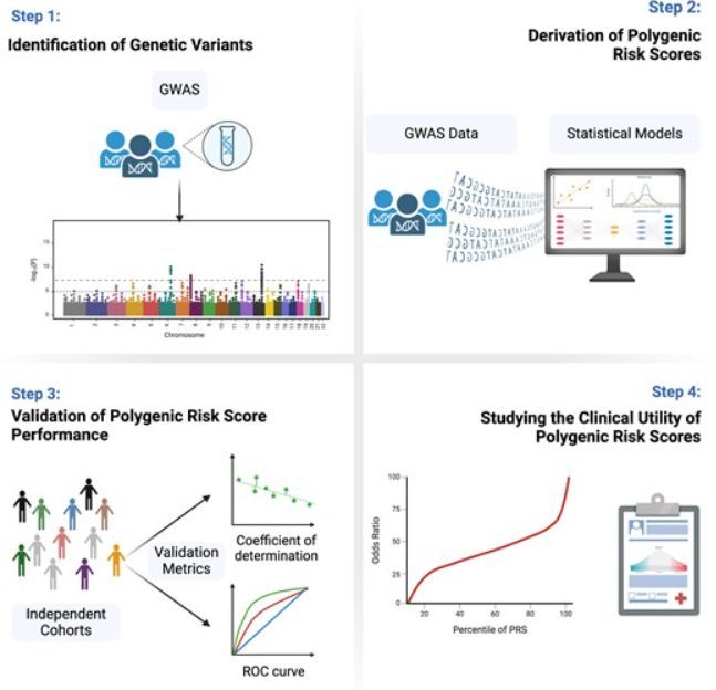 Clinical Chemistry (@clin_chem_adlm) on Twitter photo 🔥 Mini-Review: "Polygenic Risk Scores in Human Disease"
by <a href="/DimitriMaamari/">Dimitri Maamari, MD</a>, <a href="/RoukozAKaram/">Roukoz A. Karam, MD</a> & <a href="/aklfahed/">Akl Fahed</a>
<a href="/mghcvrc/">MGH Cardiovascular Research Center</a>, <a href="/broadinstitute/">Broad Institute</a>
#MedTwitter #PathTwitter #LabMedX
👉 buff.ly/3DRuhxN 🔥 Mini-Review: "Polygenic Risk Scores in Human Disease"
by <a href="/DimitriMaamari/">Dimitri Maamari, MD</a>, <a href="/RoukozAKaram/">Roukoz A. Karam, MD</a> & <a href="/aklfahed/">Akl Fahed</a>
<a href="/mghcvrc/">MGH Cardiovascular Research Center</a>, <a href="/broadinstitute/">Broad Institute</a>
#MedTwitter #PathTwitter #LabMedX
👉 buff.ly/3DRuhxN