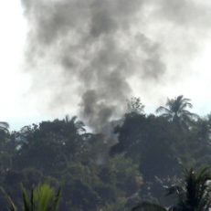 resident tweet media