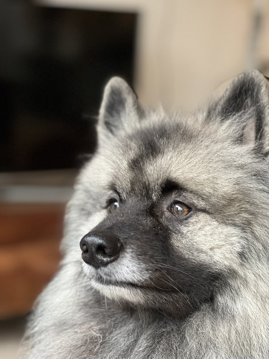 ApolloSOTT tweet picture