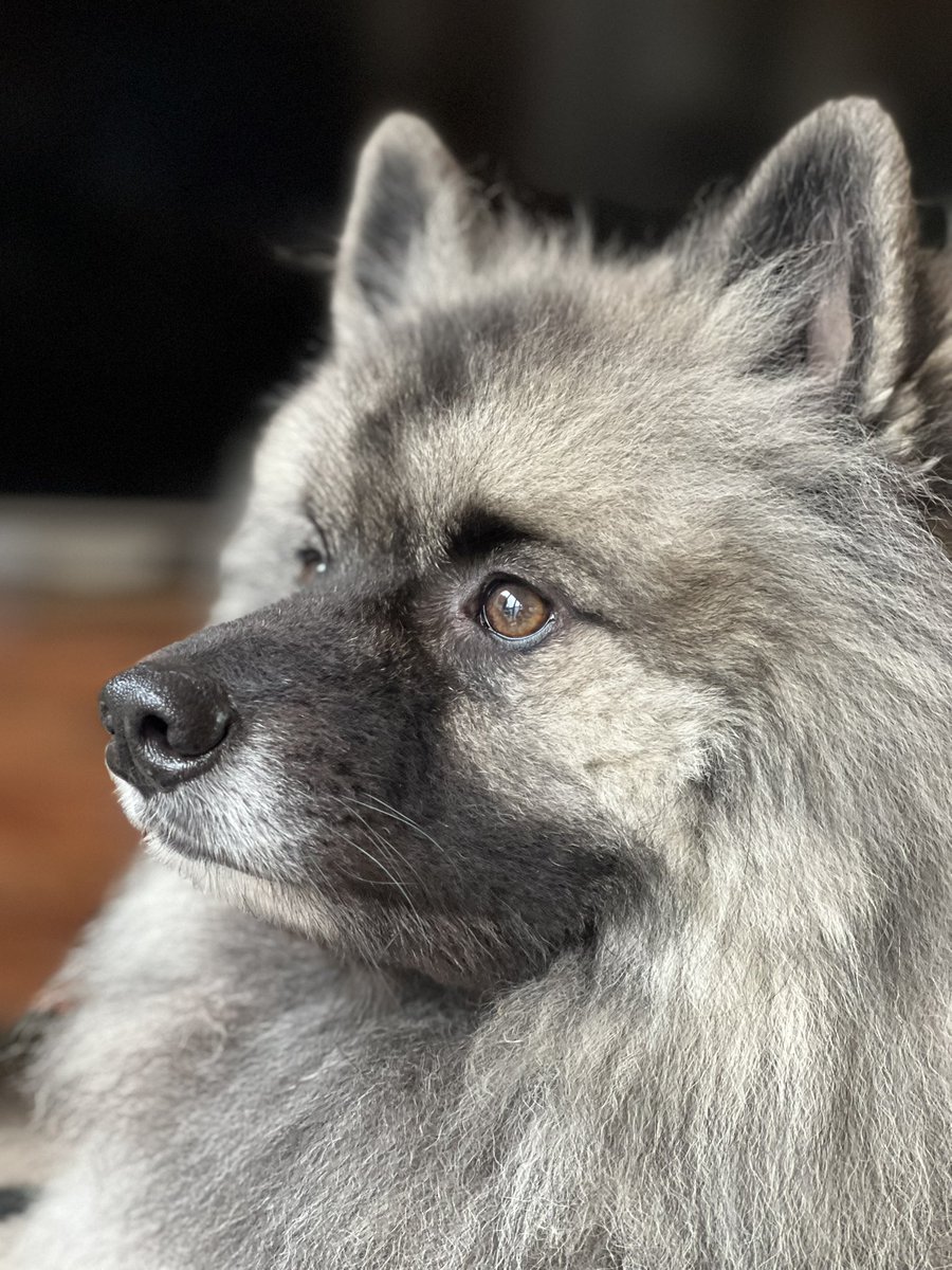 ApolloSOTT tweet picture